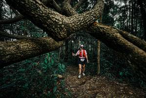 BIB: 
                            <button type="button" onclick="openModal(25701002)" class="btn btn-primary btn-sm float-right btn-popup" data-toggle="modal" data-target=".modal-high-quality">
                        <i class="fas fa-shopping-cart"></i> Add to Cart
                    </button>
                                            <button type="button" onclick="isThisMe(25701002, true)" class="btn btn-success btn-sm float-right btn-popup btn-isme hidden" data-toggle="tooltip" data-placement="bottom" title="นี่คือรูปของคุณใช่ไหม คลิกที่นี่เพื่อเอาเข้าอัลบั้ม">
                        <i class="fas fa-plus"></i> Add to album
                    </button>
                    <button type="button" onclick="isThisMe(25701002, false)" class="btn btn-warning btn-sm float-right btn-popup btn-isnotme hidden">
                        <i class="fas fa-ban"></i> Remove from album
                    </button>